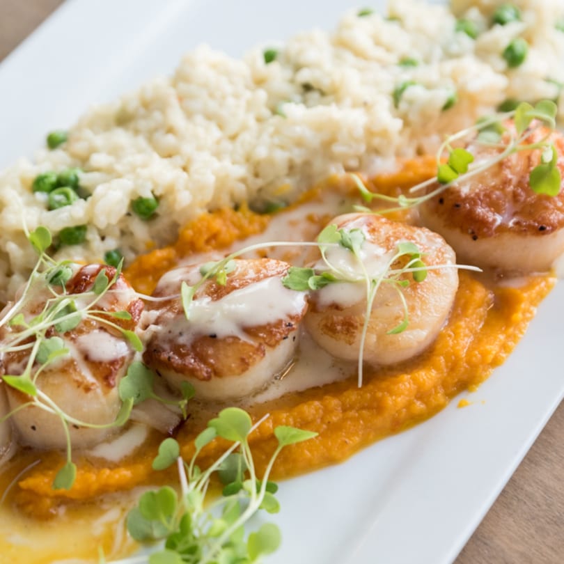 Seared scallops on orange puree with white sauce, microgreens, and risotto with peas.